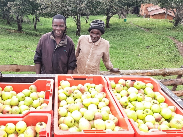 Jablká menia životy ľudí v Afrike